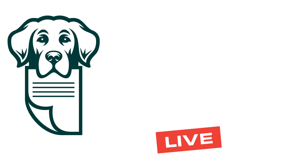 bird dogging white text